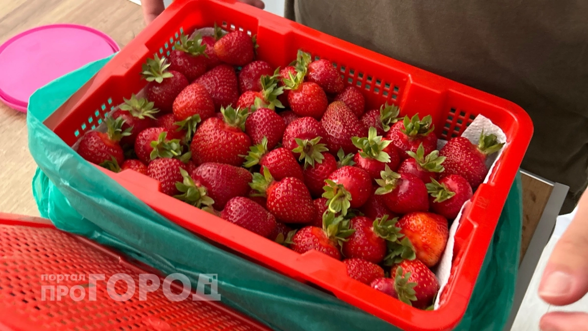 Всего одна чайная ложка под куст: клубника завалит ягодами раньше срока 