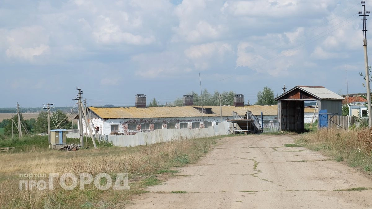 В Алатыре начали проверку после травмирования работников на предприятии