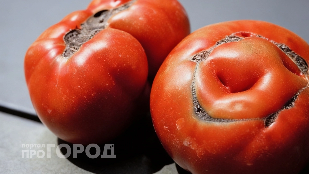 Один вред или незначительная деталь: можно ли есть помидоры с коричневыми трещинами 