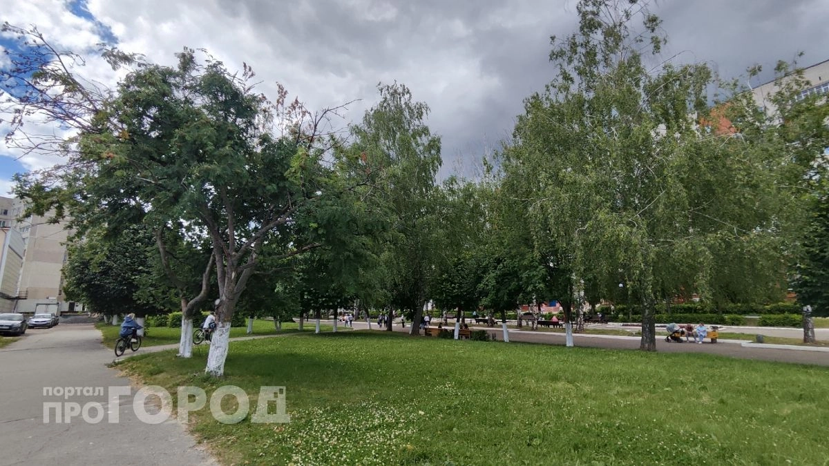 Ветра с севера и небольшие дожди: о погоде в Чувашии 26 июня