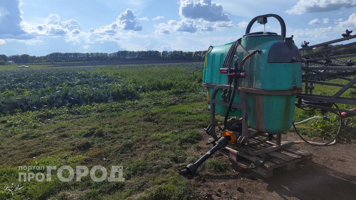 Сельчанина из Шемуршинского района обвиняют в тяжелом вреде природе