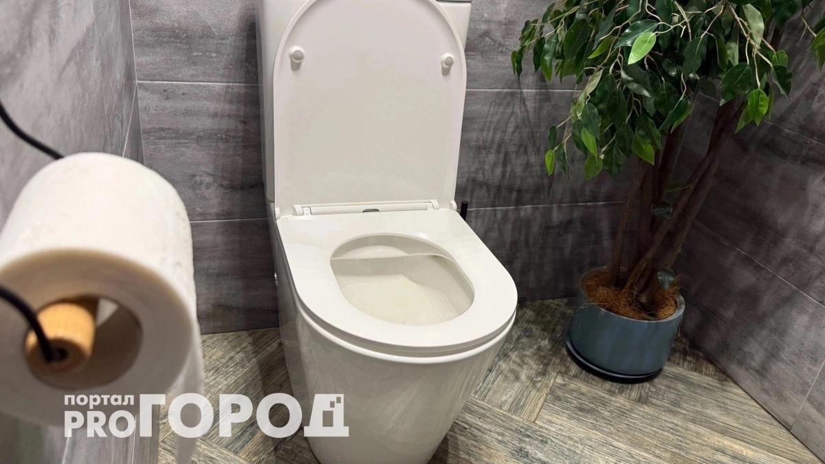 Сыплю 5 ложек в унитаз: утром сверкает как новый – секрет горничных