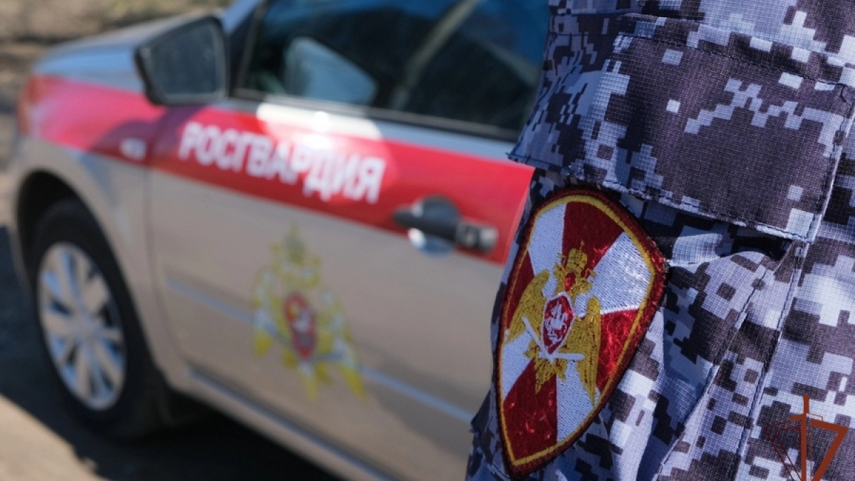 Хотел получить товары бесплатно, но получит судимость: в Козловке воришка не ушел от росгвардейцев