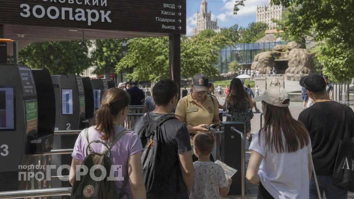 Отдала 1500 рублей и простояла полтора часа: честно рассказываю, стоит ли Московский зоопарк таких жертв
