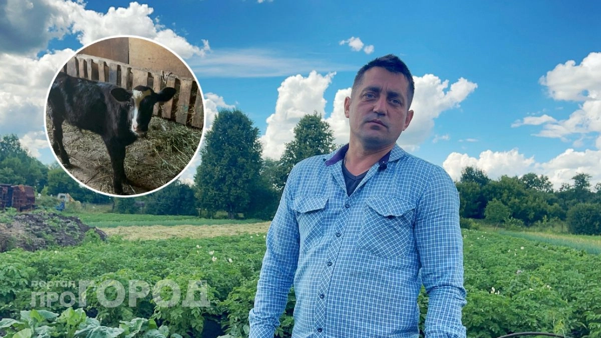 От офисной работы в городе к сельским будням: почему житель Чувашии вернулся в деревню вести хозяйство и блог о сельской жизни