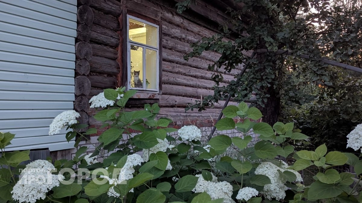 В воскресенье текущая волна жары в Чувашии достигнет своего пика: прогнозируют до +32