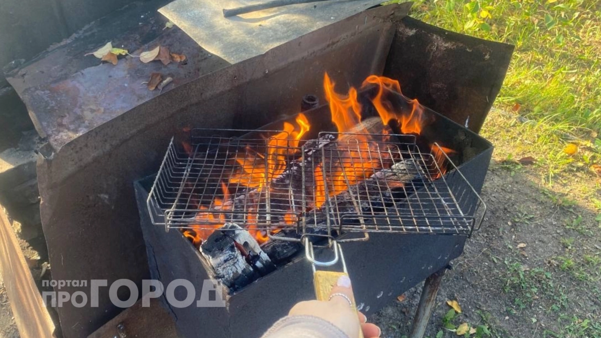 Один раз делаю самодельный розжиг и навсегда забываю о мучениях с сырыми дровами на даче и в походах