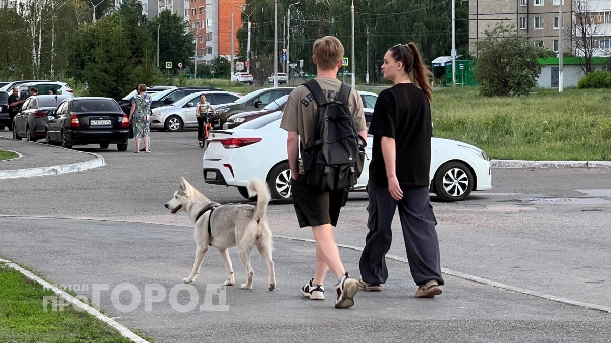 Как кошка с собакой: астролог назвал пары, которым не суждено быть вместе