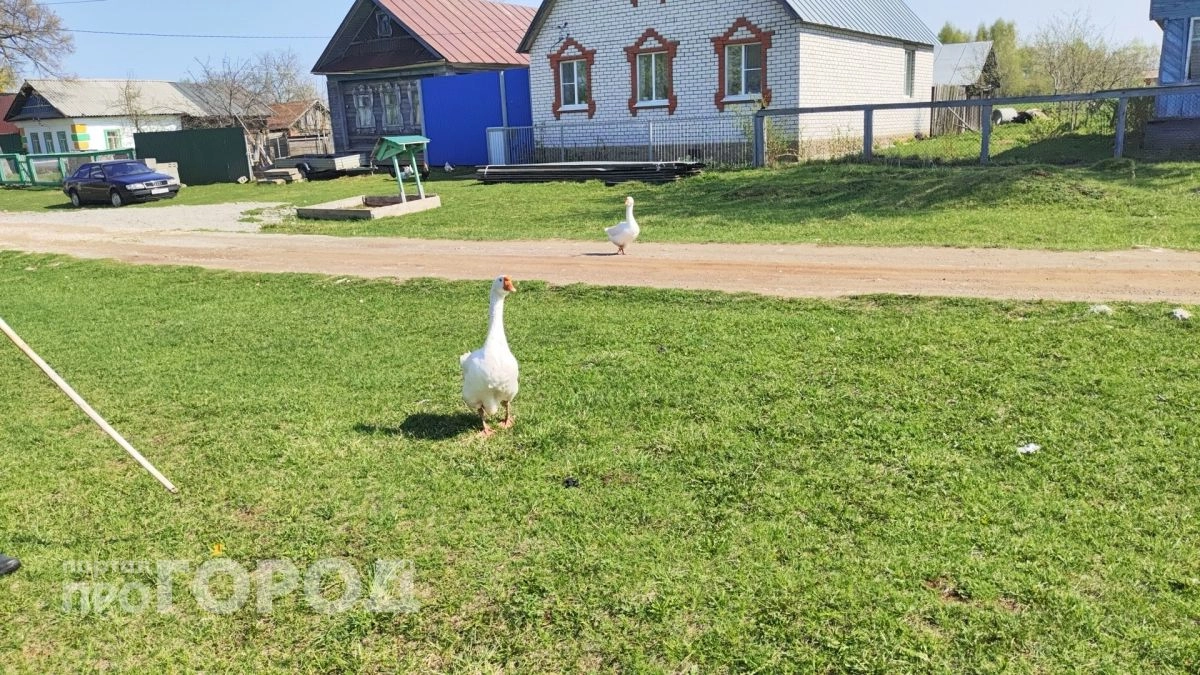 В Чувашии назвали районы с наибольшим числом новых частных домов