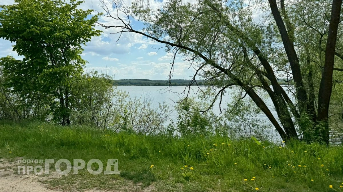 В Чувашии требуют отменить сделки с землей площадью почти шестнадцать гектаров