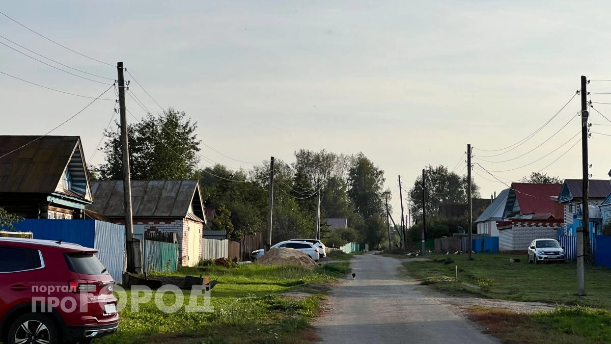 В районе Чувашии ввели карантин по бешенству из‑за заболевшей собаки