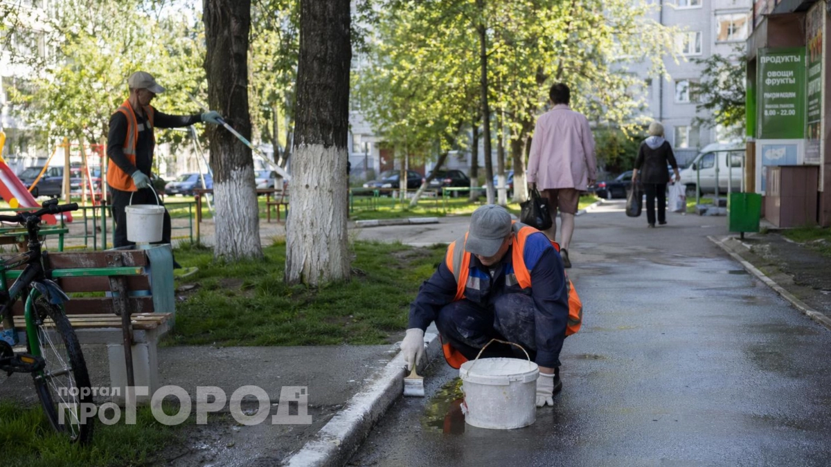 Почему в СССР белили деревья и бордюры: военная хитрость