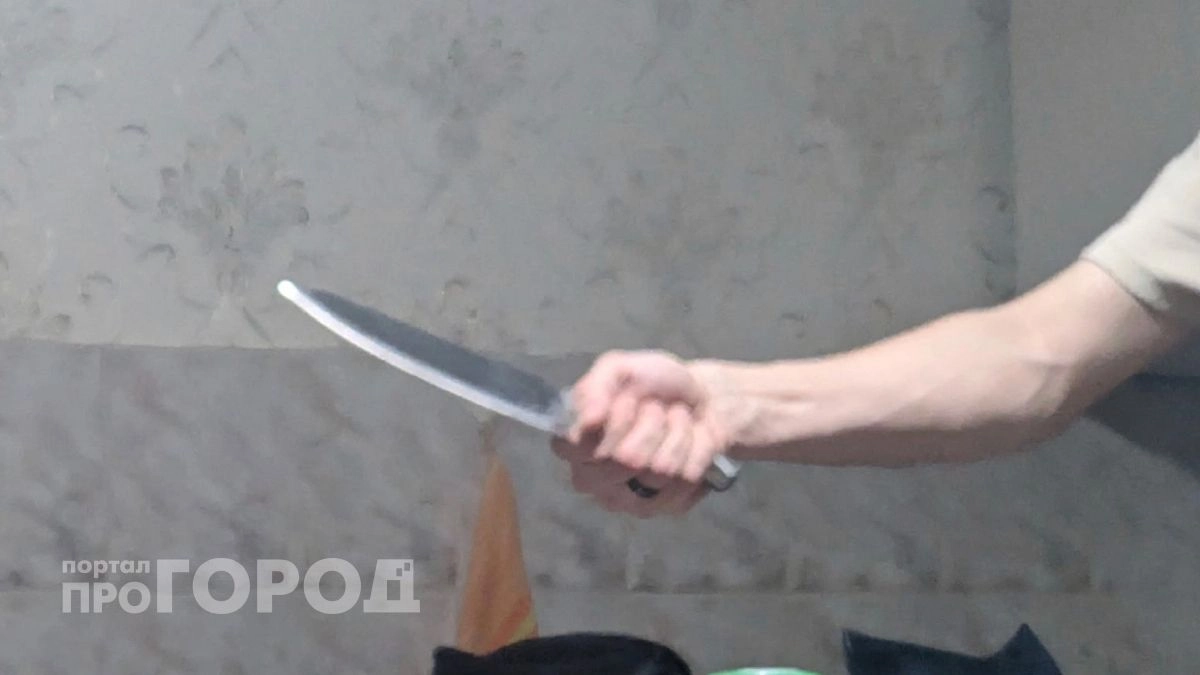 Житель Чувашии получил шесть лет за то, что ударил сына ножом