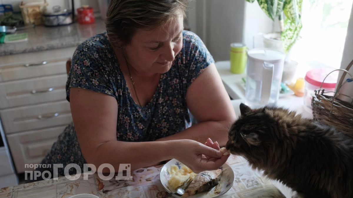Запомните раз и навсегда: какие продукты со стола категорически нельзя давать кошкам  