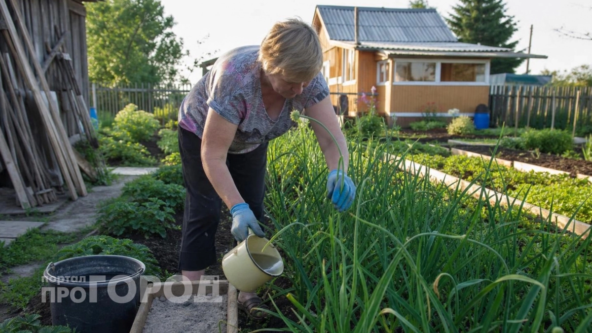Отвадила луковую и картофельную муху на раз-два: больше ни одной на огороде