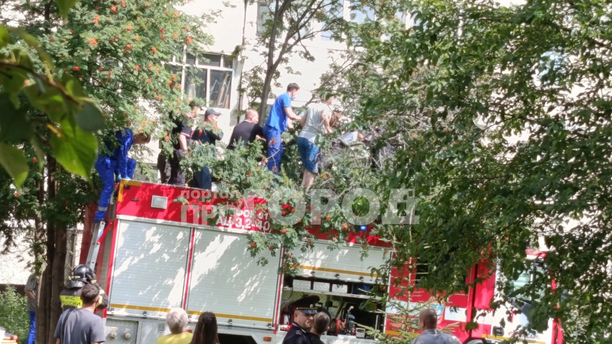 Падение с высоты, ДТП на трассе и пожары: главные новости за 26 июля