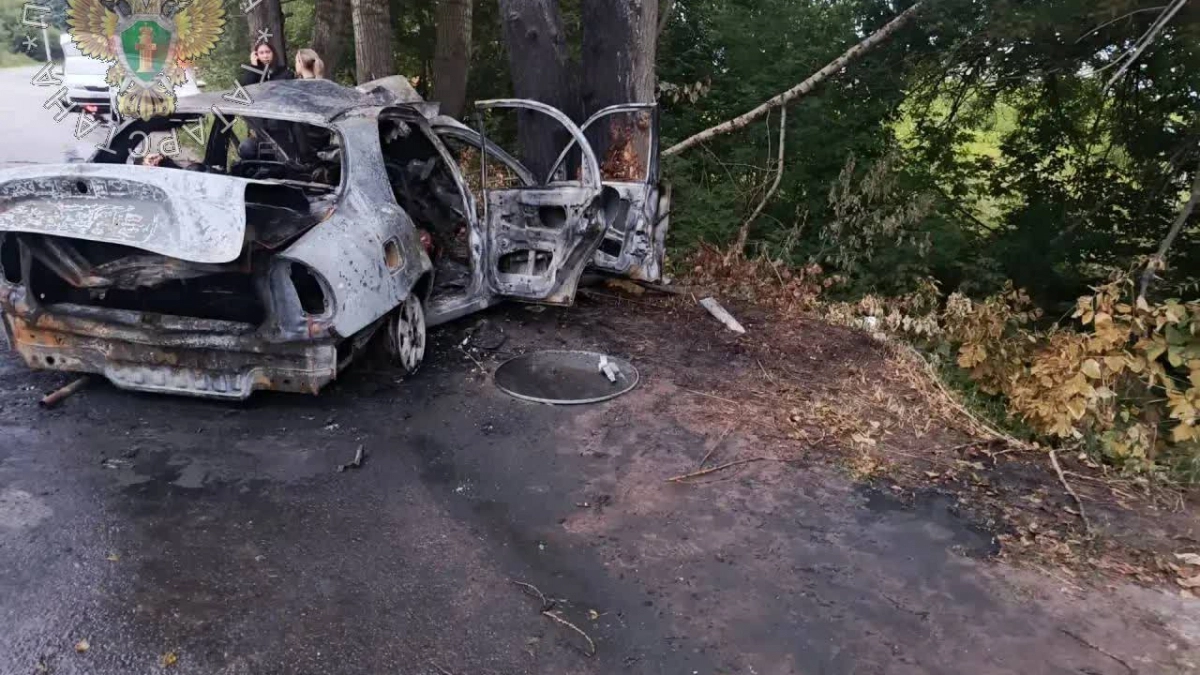 В ДТП в соседнем с Чувашией регионе погибли пять подростков и водитель без прав