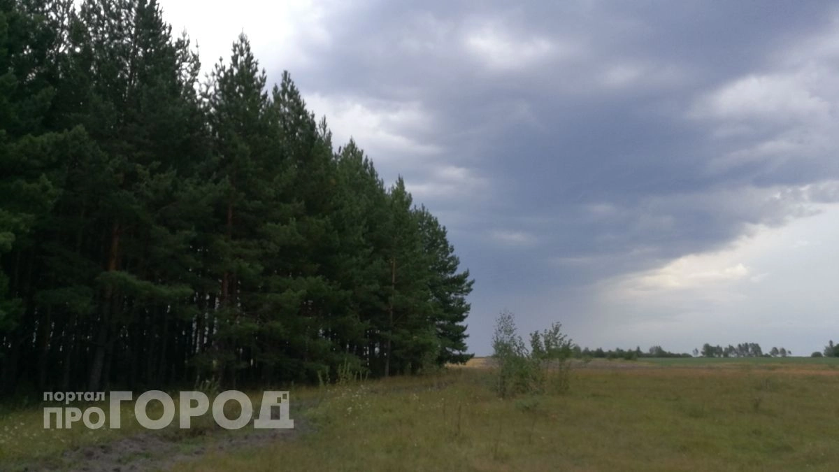 МЧС Чувашии объявило экстренное грозовое предупреждение