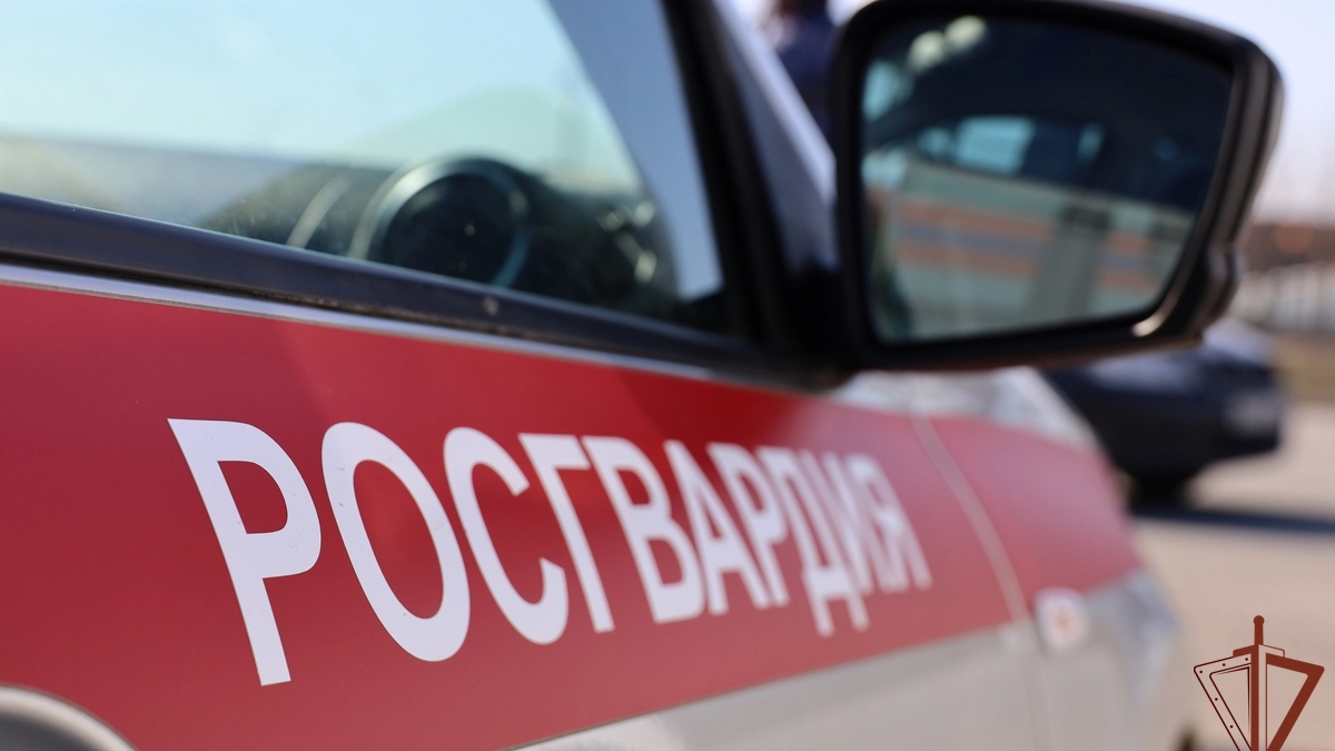 В Ядрине рецидивист покалечил пенсионера