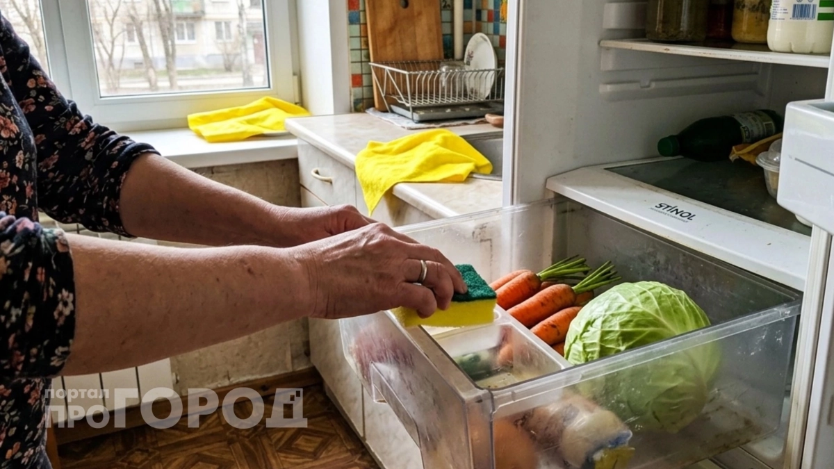 Каким овощам не место в холодильнике: вы их только портите – как правильно хранить месяцами