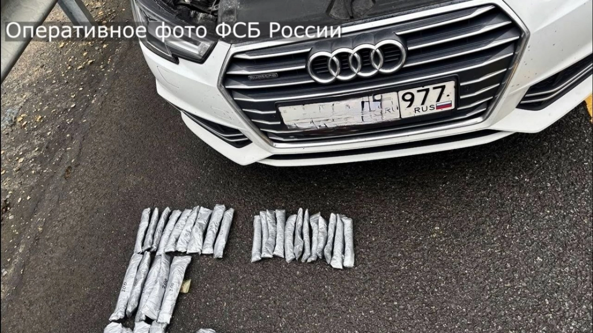В Чувашии поймали и осудили иностранца с крупной партией наркотиков