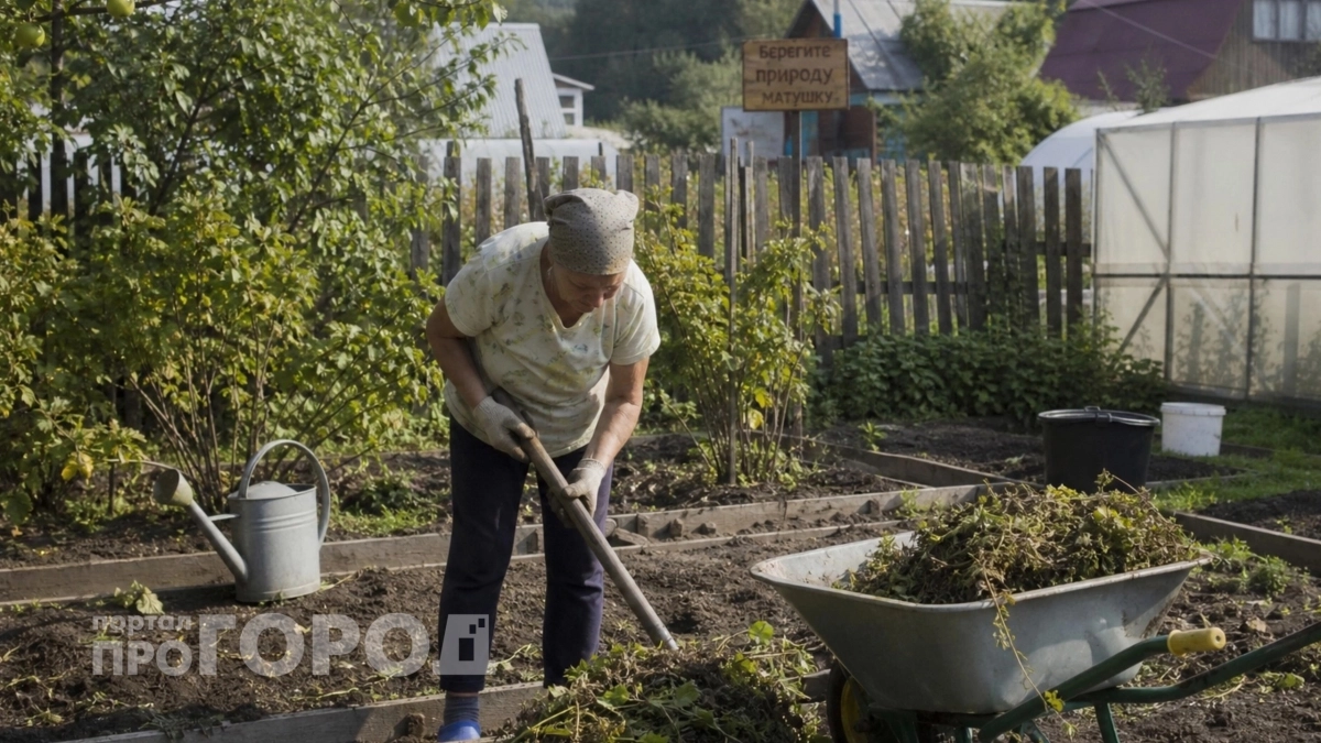 Не совершайте эту ошибку на огороде: почему умные дачники больше не оставляют почву пустой после уборки