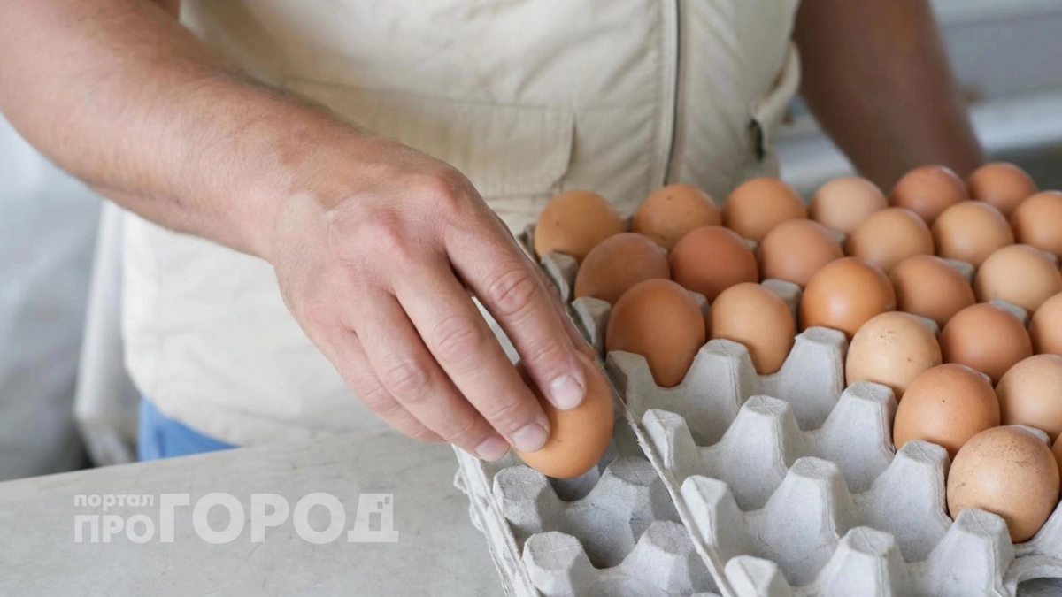 Яичные лотки больше не выкидываю: 5 лучших применений в быту