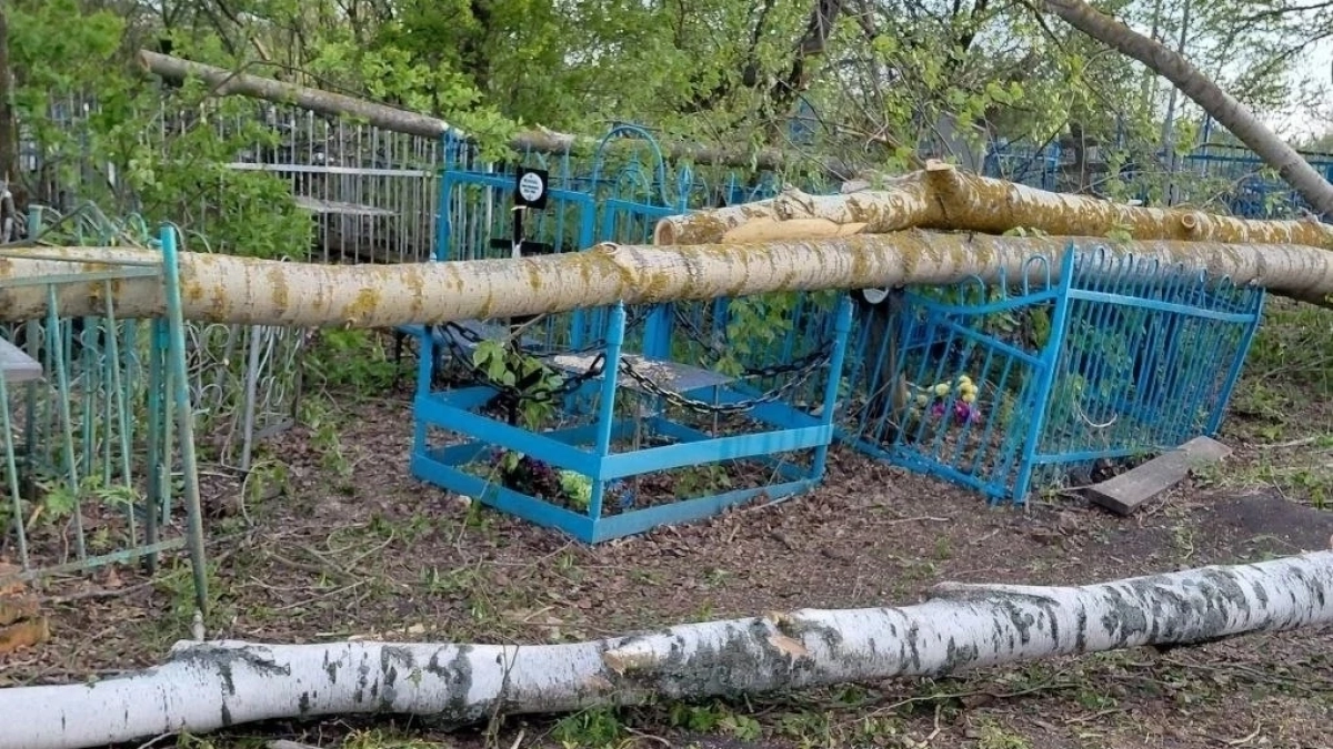 С подрядчика в Чувашии требуют компенсацию морального вреда за повреждение могил во время благоустройства