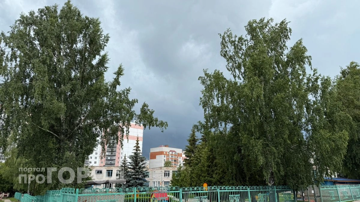Дожди и тепло выше +20 ждут жителей Чувашии в середине недели
