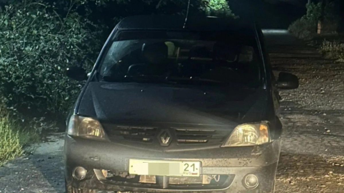 Жительница Чувашии может лишиться своего Renault из-за любви к "пьяным" поездкам