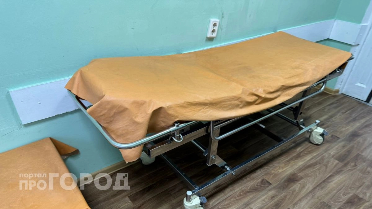 Два жителя Чувашии заразились тропической малярией после поездок в Африку