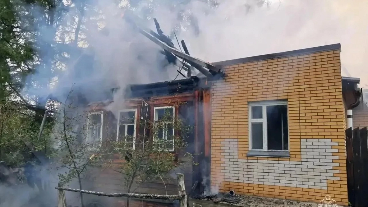 Три пожара произошли в Чувашии за сутки: горели постройки, квартира и 20 пчелиных ульев