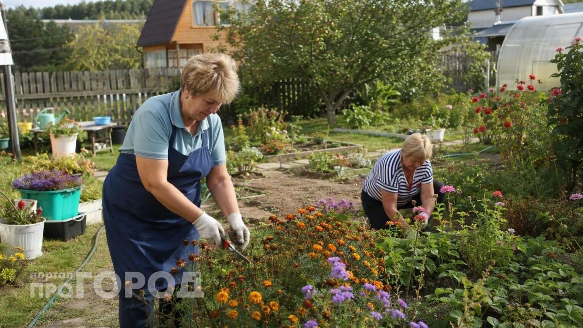 Хватит тратить силы на идеальные цветники: я перестала бороться с природой и нашла способ упростить уход