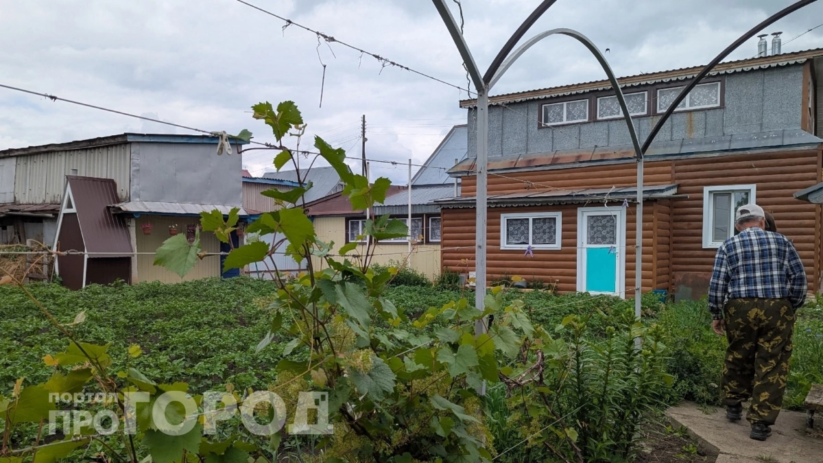 Американец был в шоке, когда увидел российскую дачу с огородом – у них так не бывает