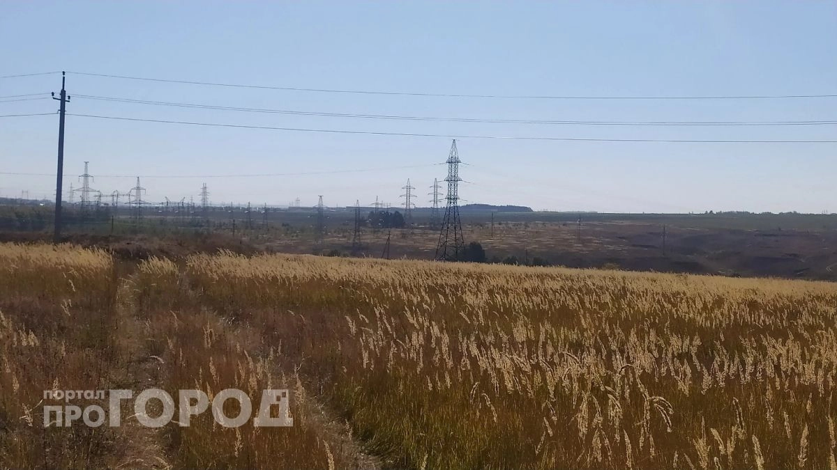 В Чувашии аннулировали декларации на 16,8 тысячи тонн зерна