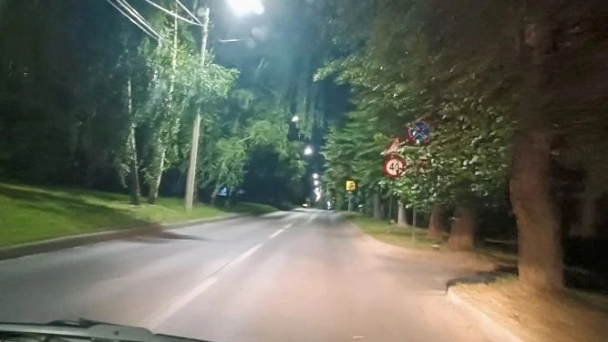 В Чебоксарах прокуратура требует сделать дорожные знаки видимыми для водителей