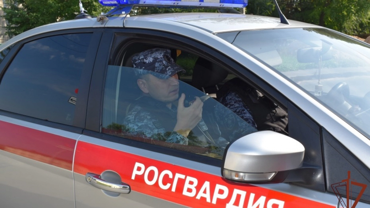 В Чувашии женщина украла сумку с витрины магазина и попыталась скрыться