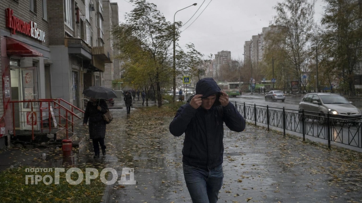 Холод застанет врасплох: первые заморозки придут раньше срока – сентябрь не пощадит