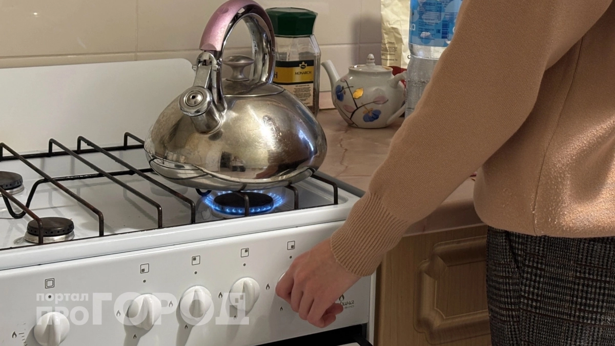 Замена газовой плиты после 1 сентября: кому придется менять 