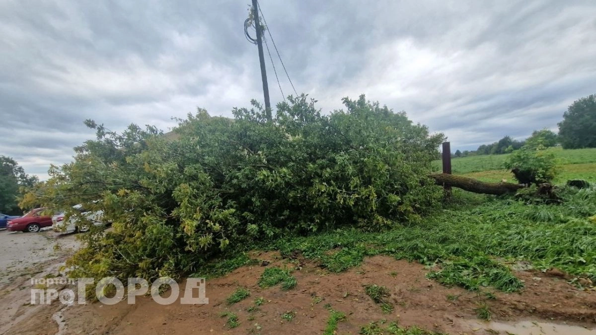 Град и ураганный ветер обесточили деревню в Моргаушском районе