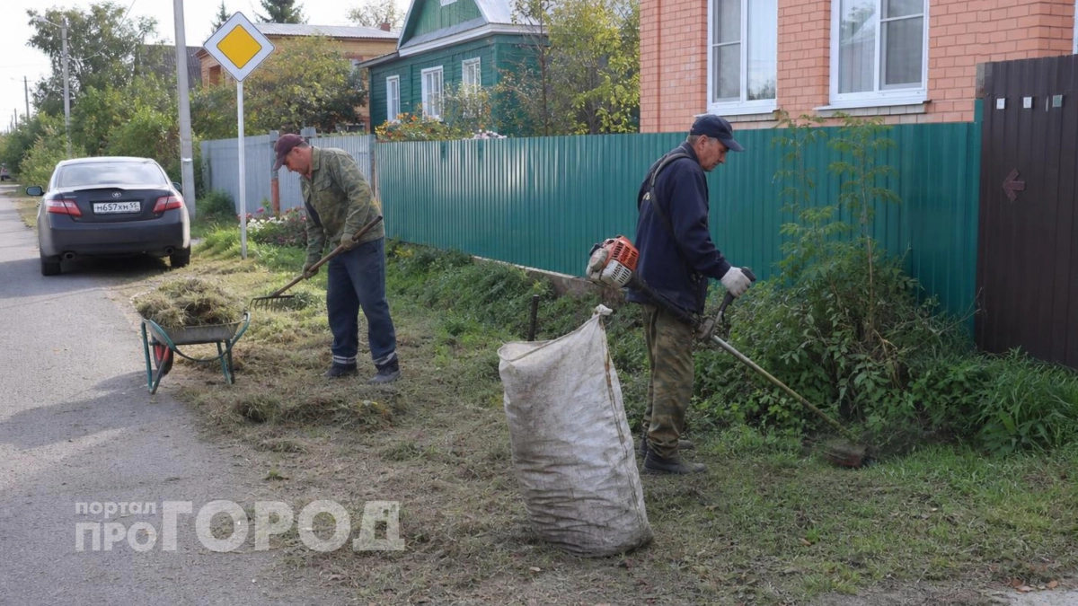 Забор не спасает от штрафа: кто обязан убирать траву и мусор на полосе между домом и дорогой