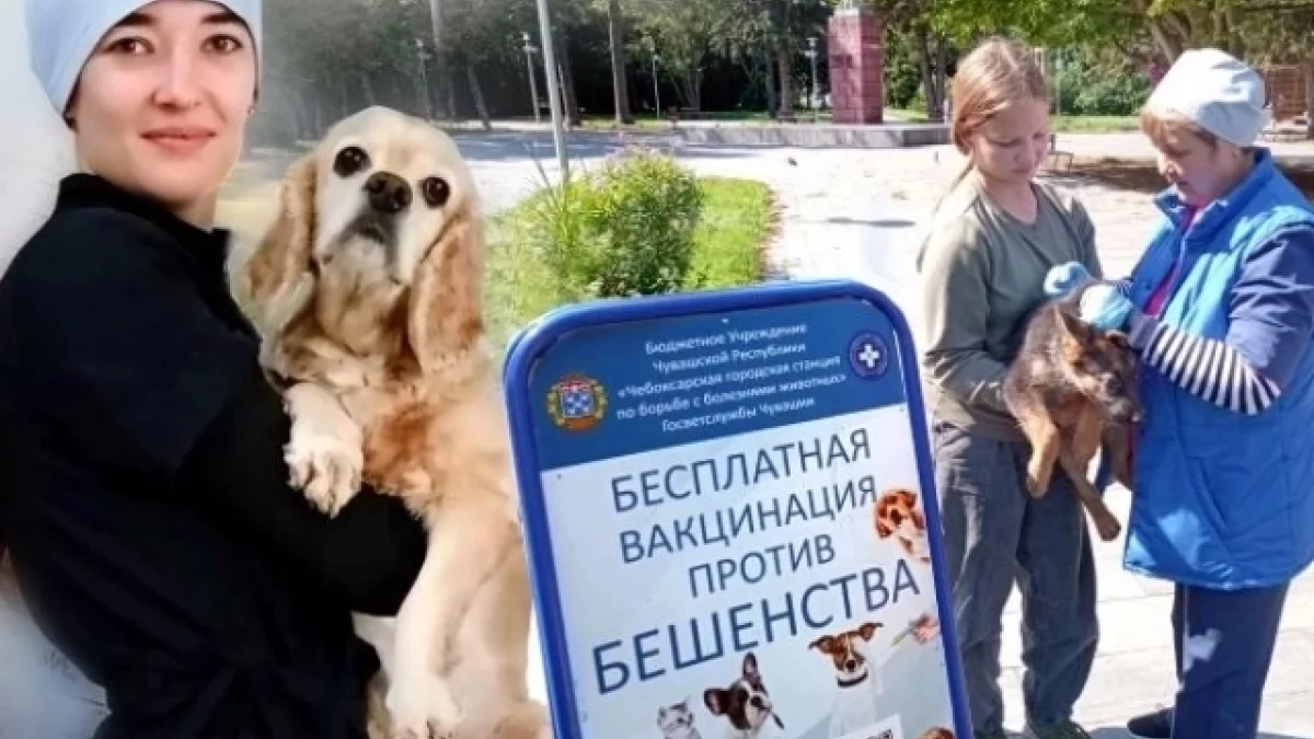 Ветврачи рассказали, как изменились болезни питомцев и что защищает хозяев