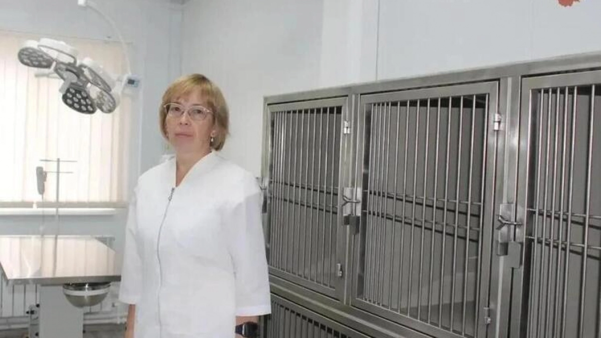 В Новочебоксарске открыли новую ветклинику с операционной и кабинетами УЗИ