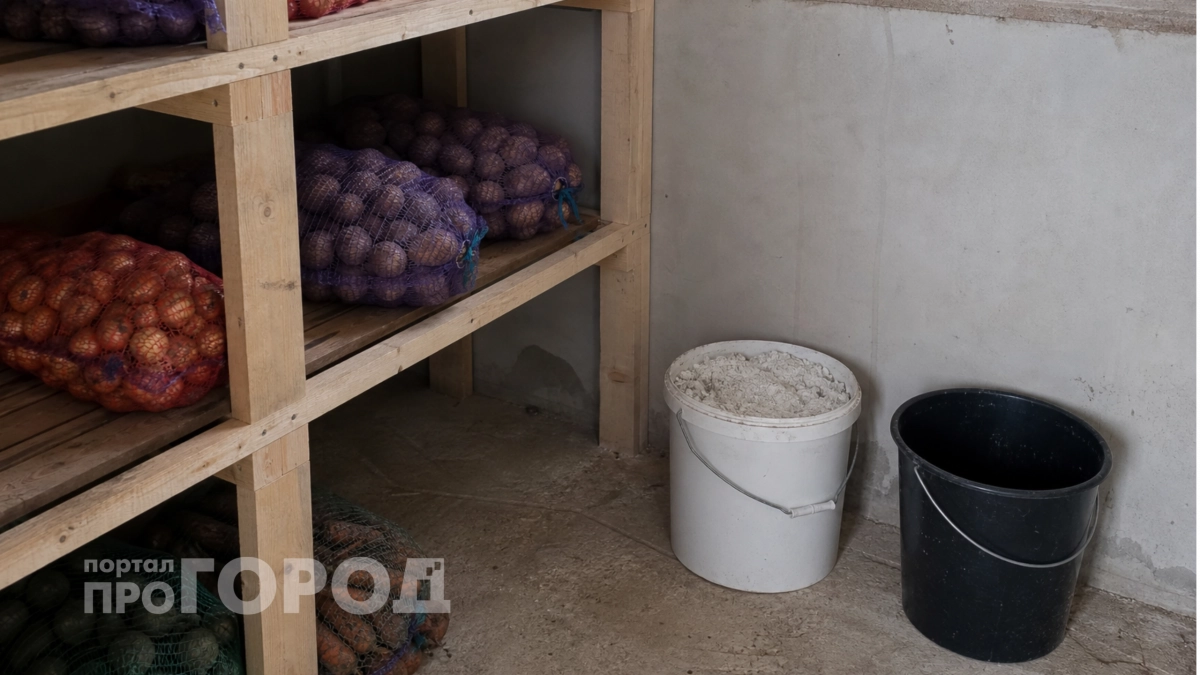 Поставила ведро в углу погреба и забыла о сырости: овощи сухие и здоровые до весны