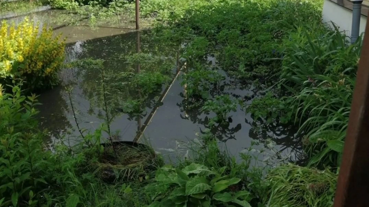 В земле огородов поселка в Шумерлинском районе нашли опасные бактерии после фекального потопа