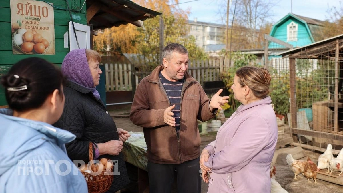 Хватит позориться: объясняю простыми словами почему у кур нет яичек и откуда на самом деле берутся яйца