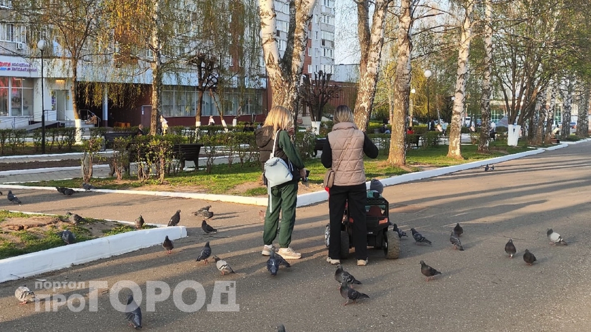 Люди засмеют: даже грамотные неправильно ставят ударение в этом простои слове 