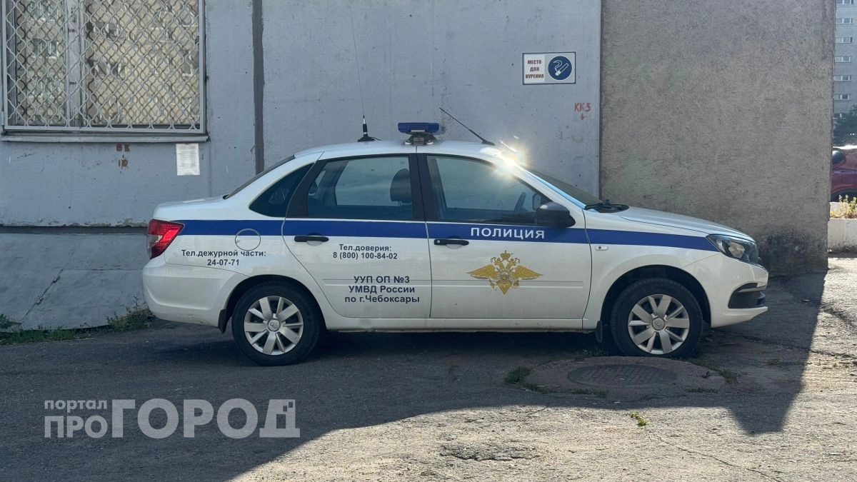 Чебоксарская школьница передала курьеру 15 миллионов, услышав кодовое слово "коза"