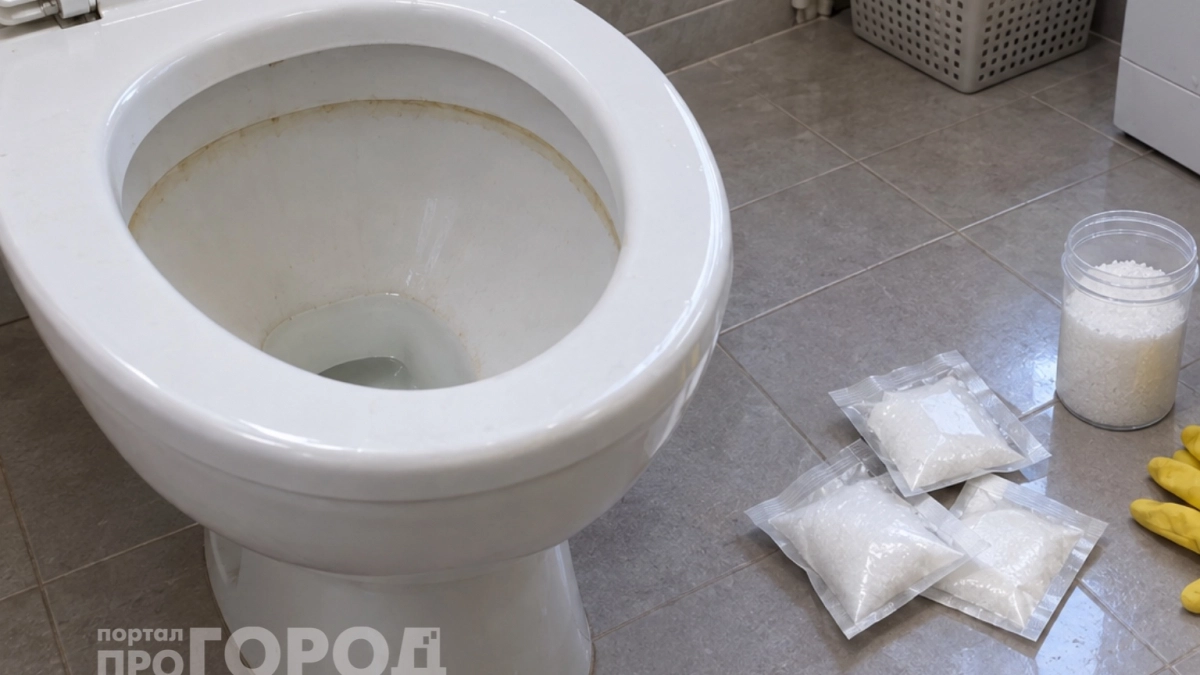 Засыпала на ночь в унитаз: утром вековой камень отвалился сам пластами – решение за 3 копейки