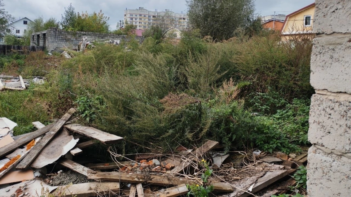 В Альгешево до сих пор не убрали мусор после сноса самостроев: "Грязь и мухи все лето"